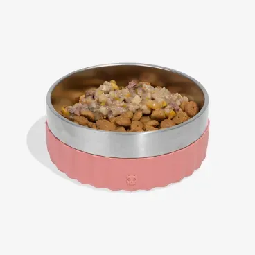 Topper carne 300g misturado na racao seca